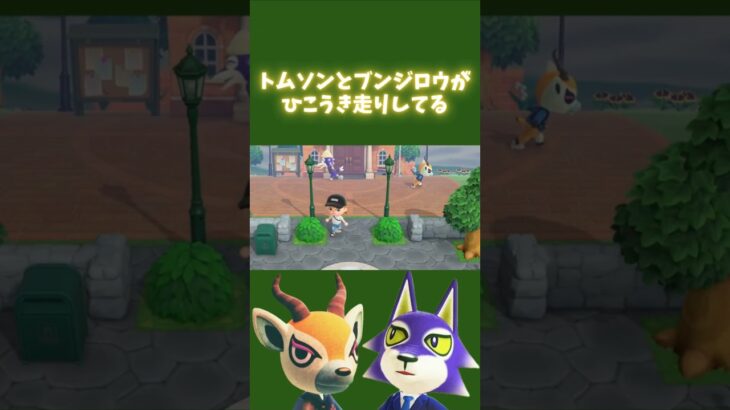 クール系男子のひこうき走り #acnh #あつ森 #あつまれどうぶつの森#どうぶつの森  #animalcrossingnewhorizons#animalcrossing #shorts #ゲーム