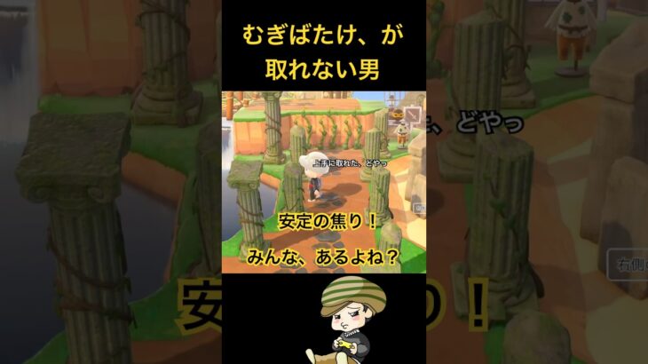 【あつ森】むぎばたけの判定、シビアすぎん？#ねっぺぺちゃんねる #ゲーム実況 #あつ森 #acnh #shorts