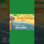 【あつ森ショート】にこちゃんと釣りバトルしてたら…🐟 #あつ森 #animalclossing #ゲーム配信 #しゅまのゲーム帳