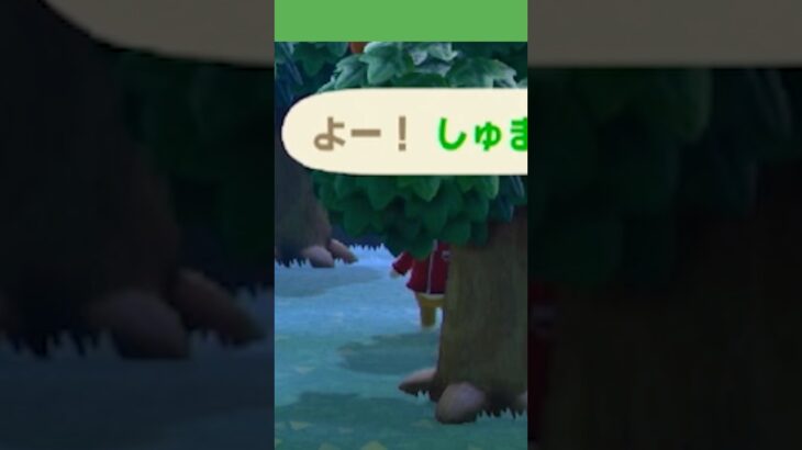 【あつ森ショート】そんなとこで呼ばんとこっちおいでぇや！笑 #あつ森 #animalclossing #ゲーム配信 #チャンプ #しゅまのゲーム帳