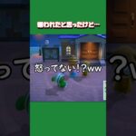 【あつ森ショート】歌の邪魔してもニコニコしてるチャンプです🐶笑 ただ、定位置だけは守ります。笑 #あつ森 #あつまれどうぶつの森 #animalclossing #ゲーム配信 #しゅまのゲーム帳