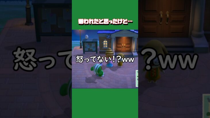 【あつ森ショート】歌の邪魔してもニコニコしてるチャンプです🐶笑 ただ、定位置だけは守ります。笑 #あつ森 #あつまれどうぶつの森 #animalclossing #ゲーム配信 #しゅまのゲーム帳