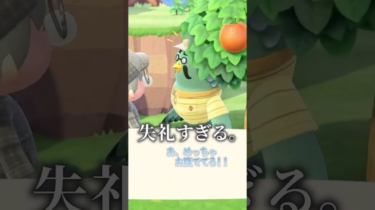 野生のマスターいたから仲間になってもらった #あつ森 #animalcrossing #あつまれどうぶつの森