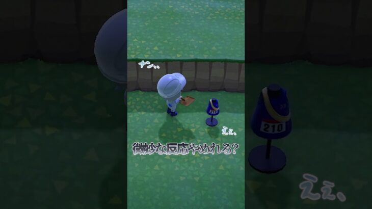 夜ってなんだか楽しい #animalcrossing #あつ森 #あつまれどうぶつの森
