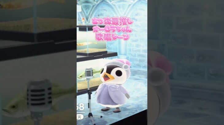 あつ森　オーロラちゃんの歌唱シーン🎵　#あつ森 #animalcrossing #オーロラ #ペンギン #あつまれどうぶつの森