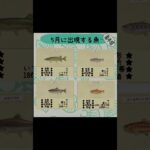 #あつまれどうぶつの森 #あつ森 #どうぶつの森 #animalcrossing #ゲーム #ゲーム実況 #チャンネル登録と高評価お願いします