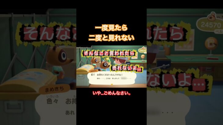 あっ…すみません#あつまれどうぶつの森 #あつ森 #animalcrossing