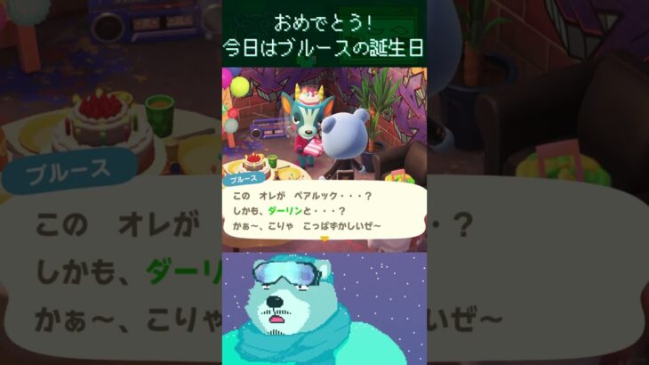 ブルース誕生日！特殊セリフ(ペアルック)【あつ森日記】#あつまれどうぶつの森 #animalcrossing