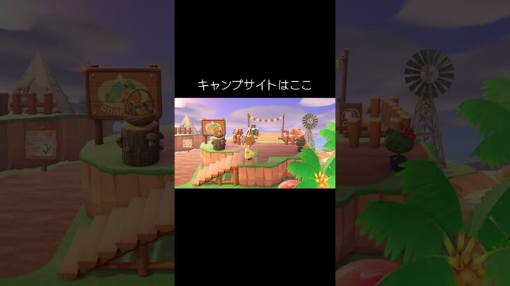 案内所周りと桟橋近くのキャンプ場🏕️ #あつ森 #あつまれどうぶつの森 #animalcrossing #acnh