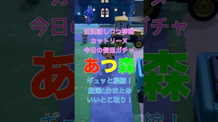 【あつ森】近況を話しながら移動してカットリーヌ髪型ガチャ引いたらこうなったよ😆✨ #あつ森 #あつまれどうぶつの森 #どうぶつの森 #カットリーヌ #animalcrossing #shorts
