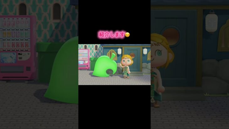 #あつまれどうぶつの森 #あつ森 #animalcrossing #ゲーム #switch2 #チャンネル登録と高評価お願いします