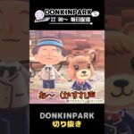 【あつ森】メープルちゃんのチャームポイント？【あつまれどうぶつの森】 #どうぶつの森  #animalcrossing   #twitch #switch2