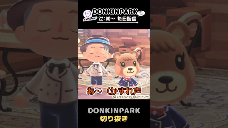 【あつ森】メープルちゃんのチャームポイント？【あつまれどうぶつの森】 #どうぶつの森  #animalcrossing   #twitch #switch2