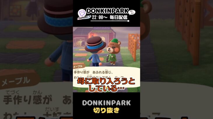【あつ森】メープルがついに外堀から埋めに来た【あつまれどうぶつの森】 #どうぶつの森  #animalcrossing   #twitch #switch2