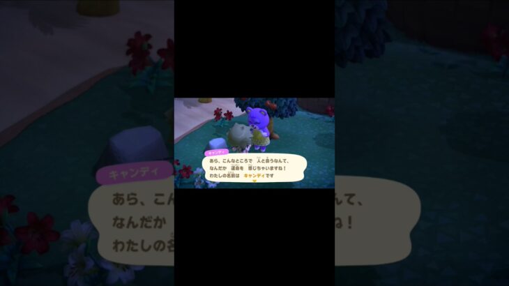 あつ森グミと出会った！#あつ森 #gaming #youtubeshorts