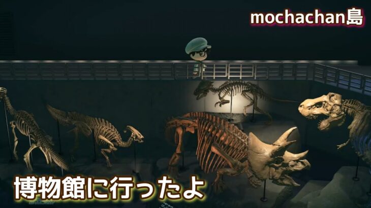 本編動画【あつ森】博物館に行ったよ@たーさんの趣味の部屋 #mochachan島