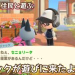 本編動画【あつ森】大親友と遊ぶよ@たーさんの趣味の部屋 #たーさん住民と遊ぶ #mochachan島