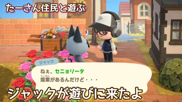 本編動画【あつ森】大親友と遊ぶよ@たーさんの趣味の部屋 #たーさん住民と遊ぶ #mochachan島