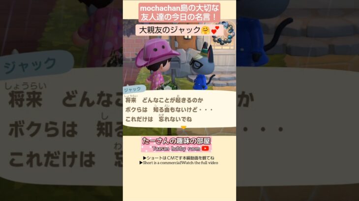 【あつ森】こんな友人欲しいよね@たーさんの趣味の部屋 #たーさん住民と遊ぶ #mochachan島 #shorts
