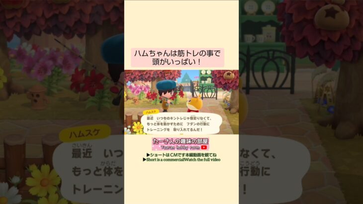 【あつ森】こんな夢まで見ちゃうハムちゃん🤣@たーさんの趣味の部屋 #たーさん住民と遊ぶ #mochachan島 #shorts