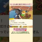 【あつ森】ハムスケの お願い@たーさんの趣味の部屋 #たーさん住民と遊ぶ #mochachan島 #shorts