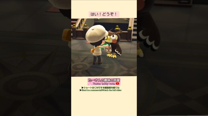 【あつ森】博物館に寄贈@たーさんの趣味の部屋 #mochachan島 #shorts
