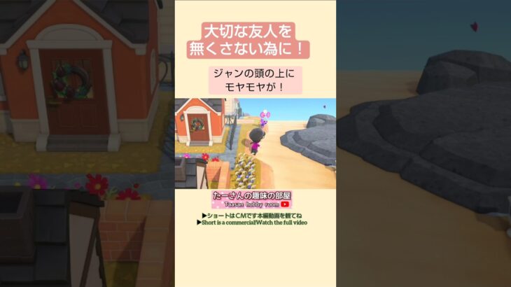 【あつ森】モヤモヤが出たら丁寧に対応@たーさんの趣味の部屋#たーさん住民と遊ぶ #mochachan島 #shorts