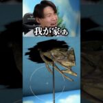 まだお家のローン残ってるのに… #あつ森 #nintendo #shorts