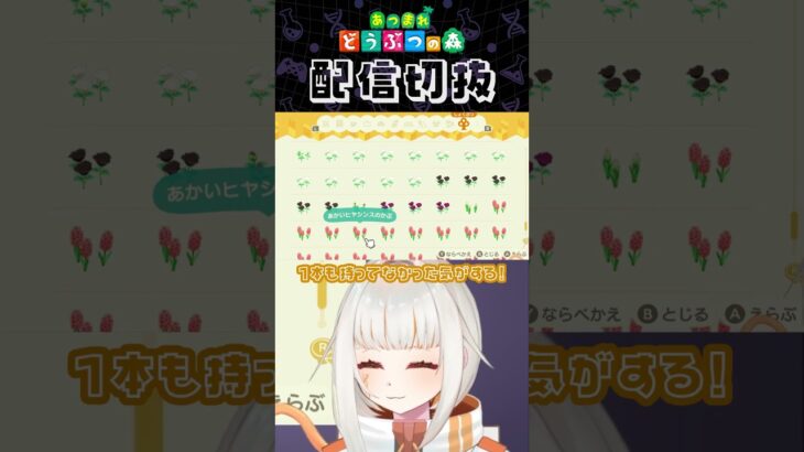 【あつ森】島クリのために花の交配を勉強🌷🖋part2 #個人vtuber #配信切り抜き #切り抜き動画 #あつまれどうぶつの森