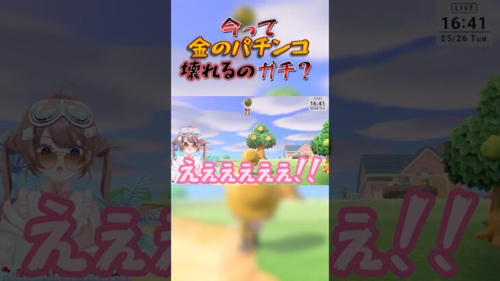【あつ森】念願の金のパチンコを手に入れたはいいが…【落田おはぎ】 #あつまれどうぶつの森 #shorts #切り抜き
