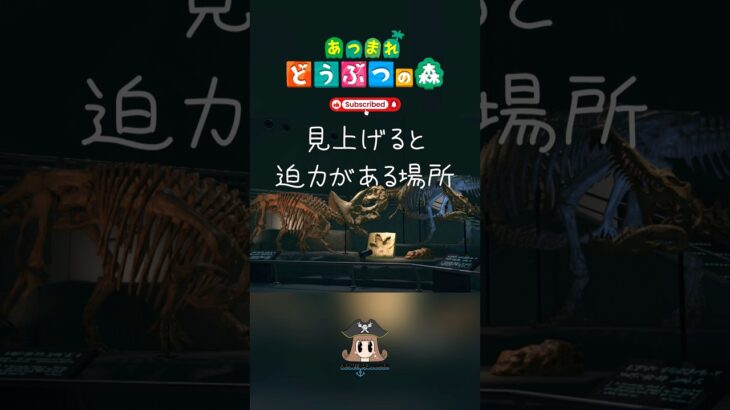 迫力のある恐竜博物館  【あつまれ動物の森】 【癒し】 #shorts #あつ森 #博物館