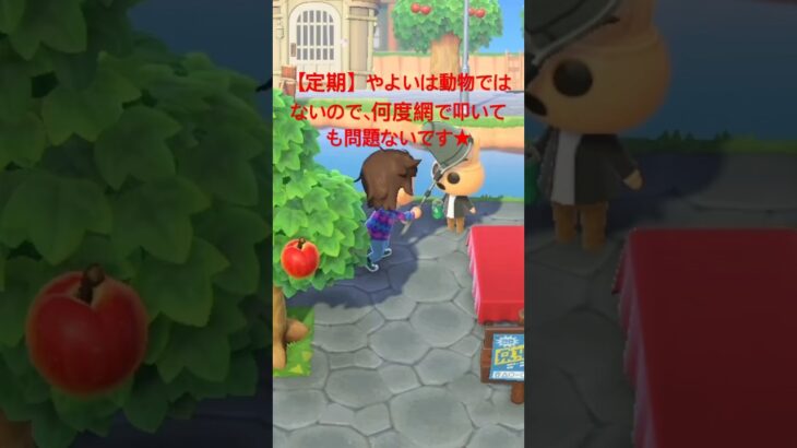 【あつ森】やよいは動物ではなくハニワなので、何度網で叩いても問題ないです！　#shorts #あつ森