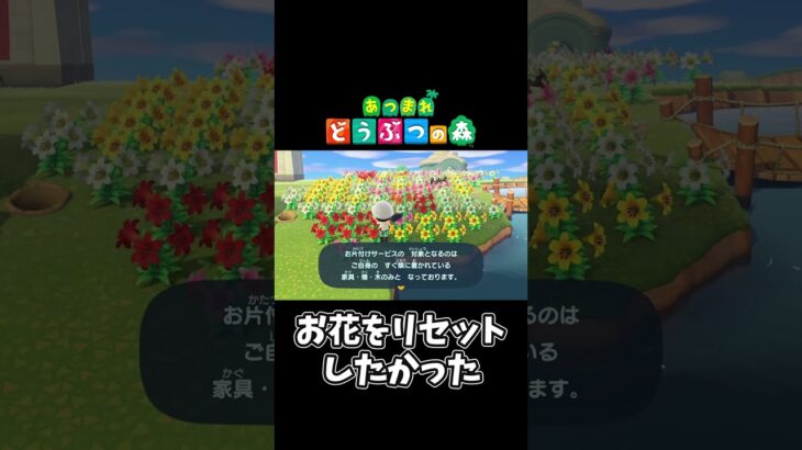 【あつ森】リセットさん呼んだ結果#shorts #ゲーム配信 #あつまれどうぶつの森 #あつ森