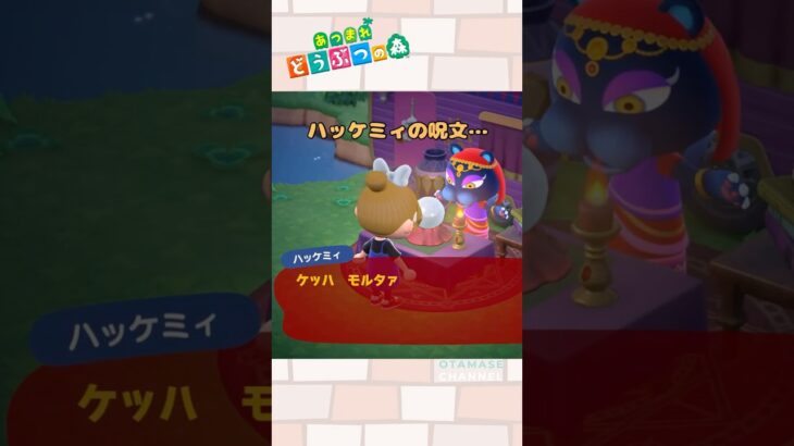 【あつ森小ネタ】ハッケミィの呪文、読めた…！#shorts #あつ森 #あつまれどうぶつの森