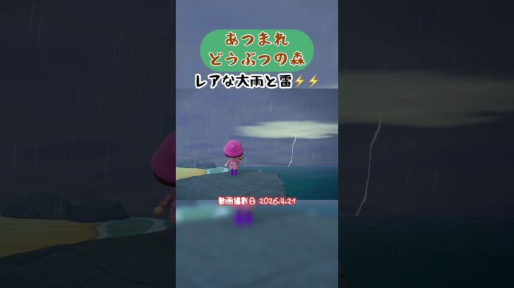 【あつ森】レアな大雨と雷⚡️ #あつまれどうぶつの森 #あつ森  #shorts #ゲーム実況