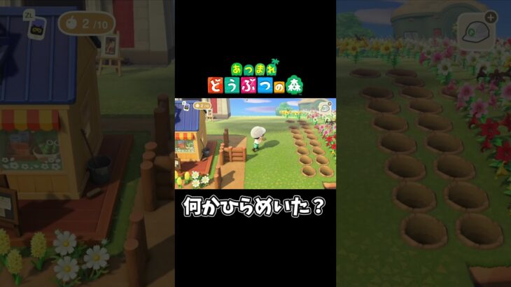 【あつ森】配置ミスした結果…#shorts #ゲーム配信 #あつまれどうぶつの森 #あつ森