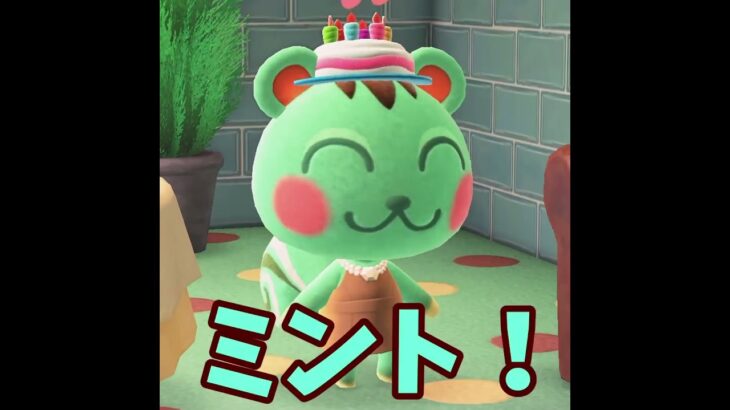 【あつ森】初祝い！５月最初の誕生日はあのリスちゃん🎂 #shorts #あつ森 #あつまれどうぶつの森