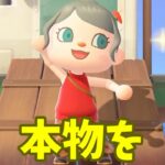 【あつ森】本物？偽物？つねきちの商品を見破れー！ #shorts #あつ森 #あつまれどうぶつの森