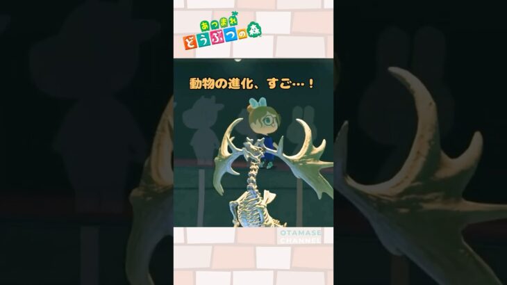 【あつ森小ネタ】ここに立つと…？#shorts #あつ森 #あつまれどうぶつの森