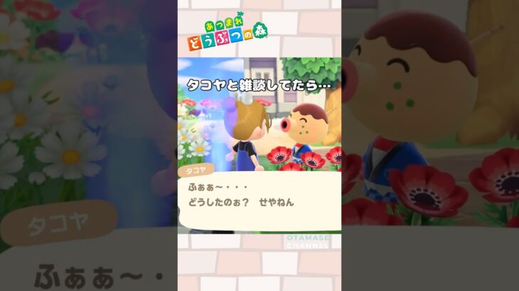 【あつ森小ネタ】 それどこ…？　#shorts #あつ森 #あつまれどうぶつの森