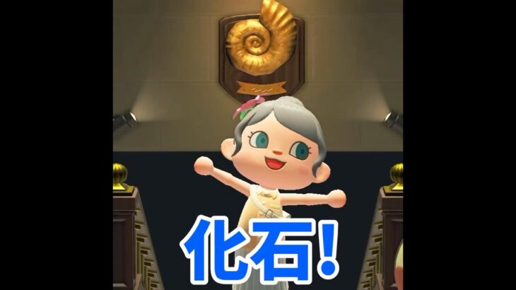 【あつ森】スタンプラリー２日目！！今回は化石エリア🦕 #shorts #あつ森 #あつまれどうぶつの森