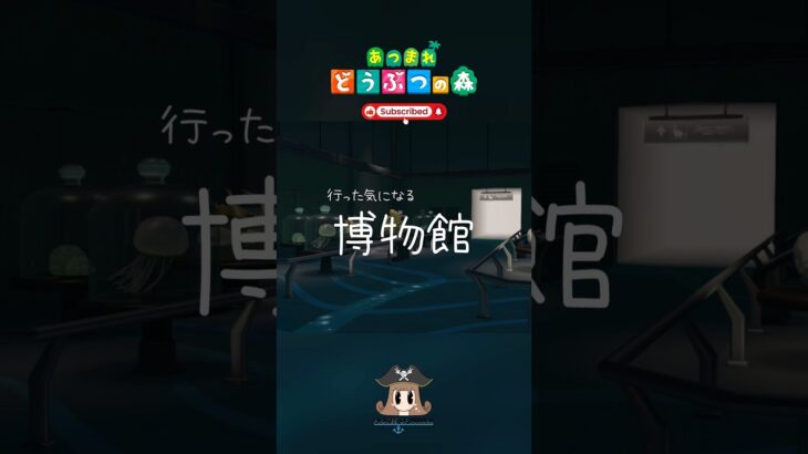 あつ森の博物館って…🎓  【あつまれ動物の森】 【癒し】 #shorts #あつ森 #博物館