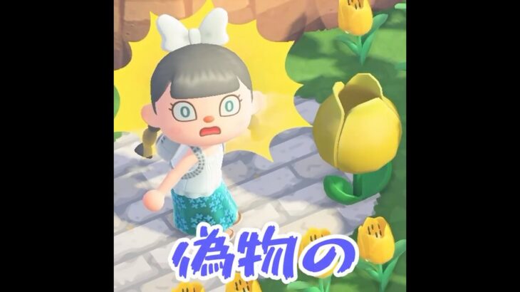 【あつ森】チューリップ畑に偽物の花が？！この花を使って・・ #shorts #あつ森#あつまれどうぶつの森