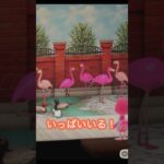 【あつ森】８×８でフラミンゴの部屋‼️＃あつ森#ハピパラ#shorts