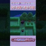 巨大迷路で迷子はヤバかった #あつ森 #あつまれどうぶつの森 #shorts
