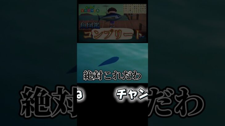 こいつさえ釣れれば魚図鑑コンプリート！？【あつまれどうぶつの森】 #あつ森 #ゲーム #ゲーム実況 #どうぶつの森 #あつまれどうぶつの森 #shorts