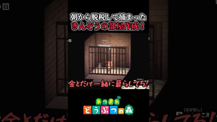 きんぞうの脱税後ルーム！【あつ森/あつまれどうぶつの森/ホテル】#shorts