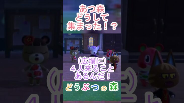 あつ森で住民たちが合唱大会のために集まってる！？【あつまれどうぶつの森】#あつ森 #あつまれどうぶつの森 #shorts