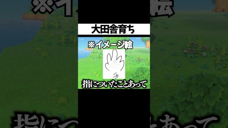 【あつ森】大田舎育ち #ゲーム実況 #shorts