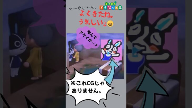 【これ知ってる？】配信切り抜き【あつ森】　関連動画で　#どうぶつの森  #あつ森  #あつまれどうぶつの森  #あつもり #豆知識 #小ネタ #shorts